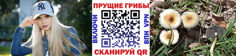это какой сайт kraken онион Балей Псилоцибиновые грибы ЛСД