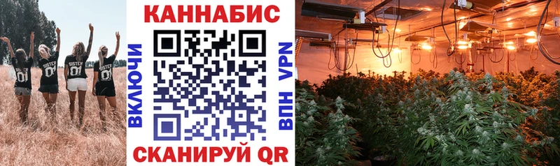 Бошки марихуана планчик  хочу наркоту  Балей 